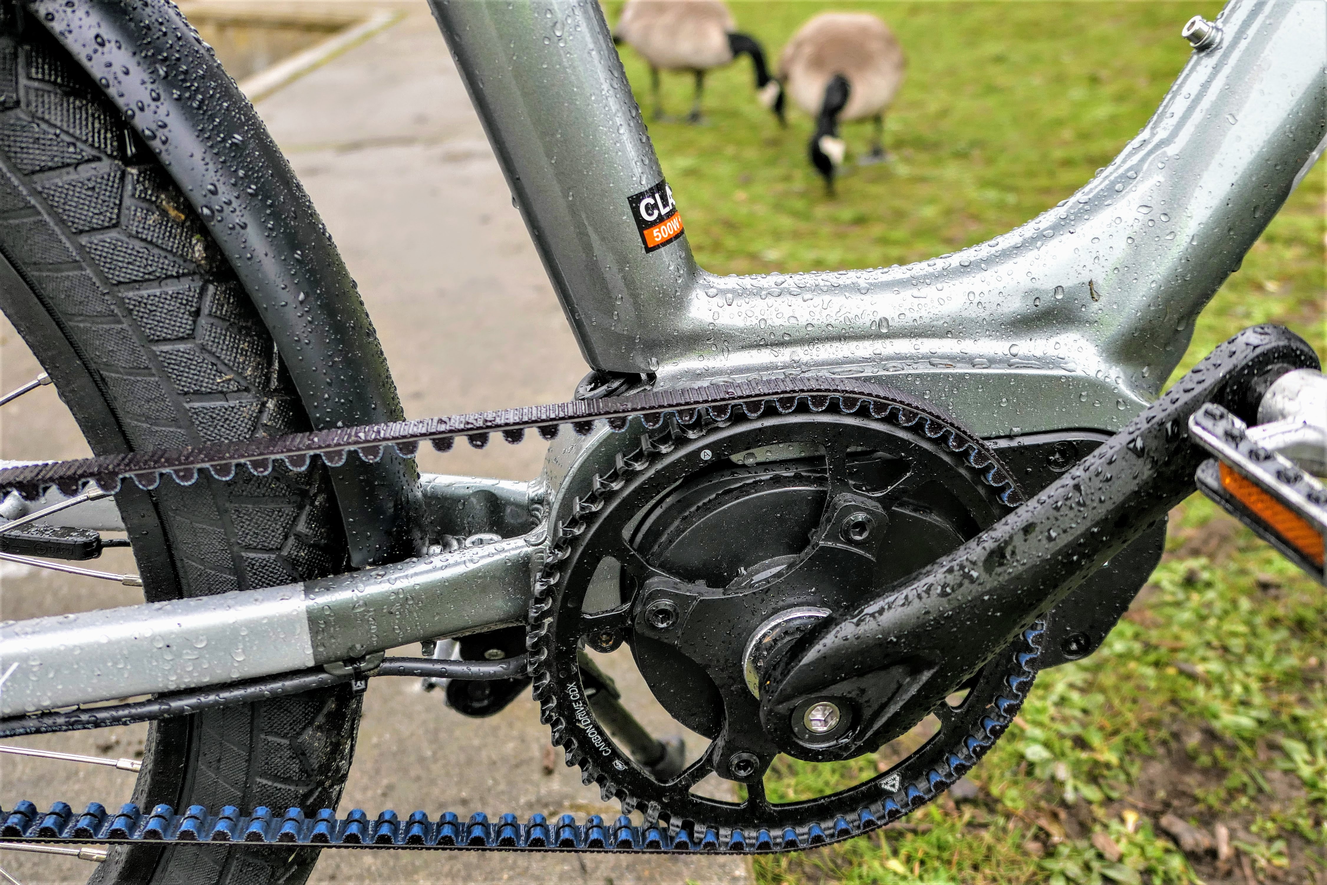 Belt drive plus hub shifter means low maintenance